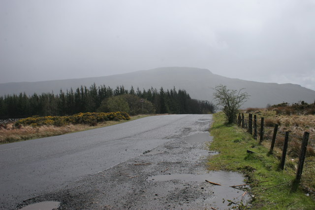 Forestry plantation and B822