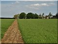 The path to Hill Top House Farm