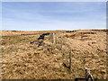 SD9616 : Blackstone Edge Moor by David Dixon