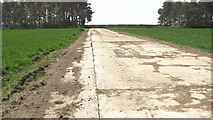 TF9038 : A section of the SW-NE runway by Evelyn Simak