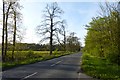 Church Lane from Thicket Priory