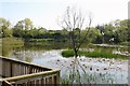 Shoebury Park Lake