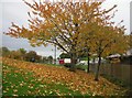 ST1920 : Autumn time - Taunton Deane Services by Mr Ignavy