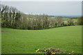 View from the lane to Bowerland