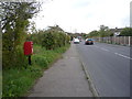 Main Road (A149), Rollesby