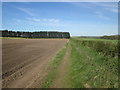 SK5676 : Farm track southwest of Oak Wood by John Slater
