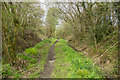 Bridleway to Venn Down Gate