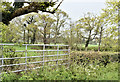 Field gate, Soldierstown (May 2016)