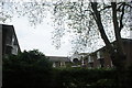 View of the rear of apartments on Sovereign Mews from the Geffrye Museum Herb Garden