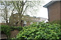 View of flats on Sovereign Mews from the Geffrye Museum Herb Garden