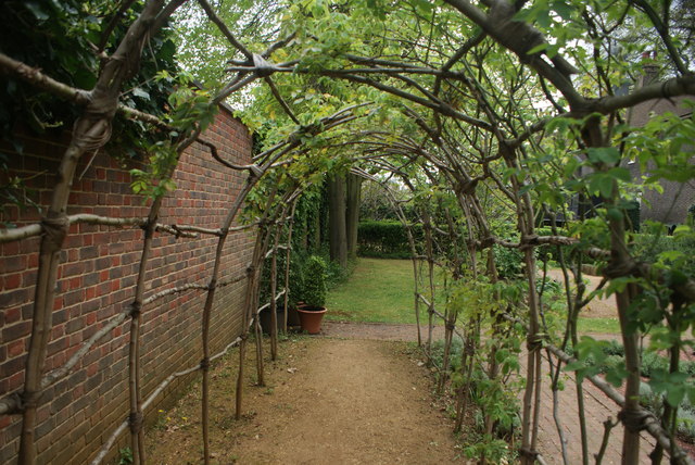 View of a vine arch in the Geffrye... © Robert Lamb cc-by-sa/2.0 ...