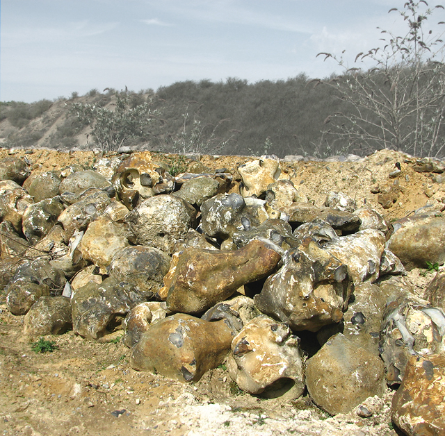 Paramoudras in Caistor quarry