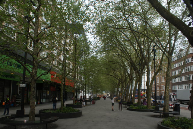 View of an avenue of trees on Old Street