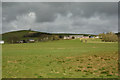 Scottish Borders : Grassy Field