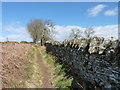 Stone wall alongside the Logan