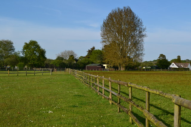 Footpath across paddocks near Ibsley Manor Farm