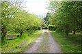 The Approach to Maldon Hall