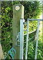 ST4251 : Chained gate, Brinscombe Hill by Derek Harper