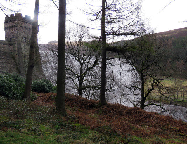 Derwent Reservoir dam wall through the trees