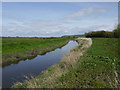 River Parrett