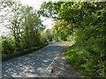 Lane alongside Seven Acre Wood