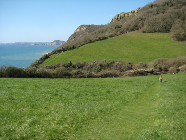 The coast path in Weston Combe