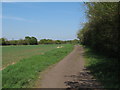 Byway near Calthorpes Farm, Great Sampford