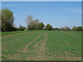 Arable land near Fields Farm, Hempstead