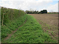 TL9897 : Bridleway from Bell Lane by Hugh Venables