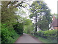 Hadzor Lane Passing the Church of St Richard and St Hubert