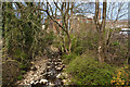 The River Calder at Oakenclough