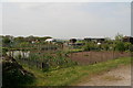 Allotments on Mill Road, Swanland