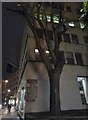 TQ2880 : Tree on the corner of Bruton Street and Bruton Lane by David Howard