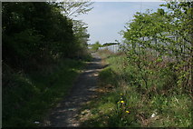 NS5160 : Path beside the railway by Richard Sutcliffe
