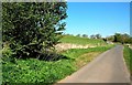 Farm Road Near Patna