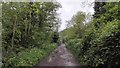 Green Lane near Thorpe