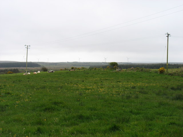 Country west of Cooraclare