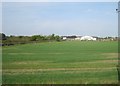 View from a Newcastle-Edinburgh train - farmland near Netherton Park