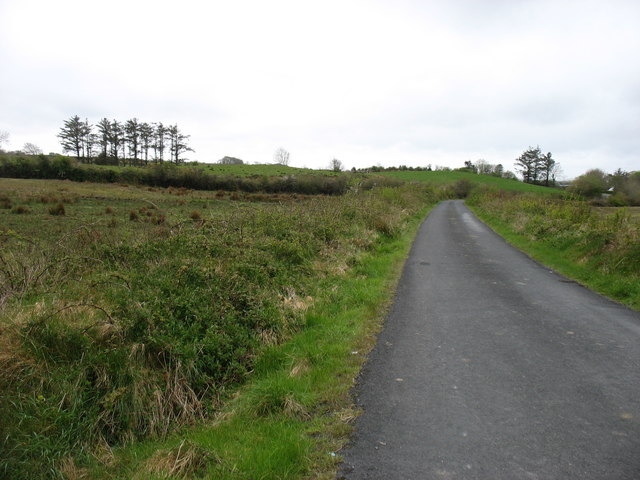 Minor road south of Mullagh