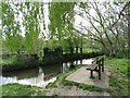 Bench by the River Cerne