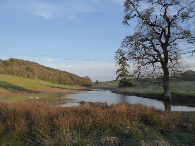 Pond in Lee Castle Estate