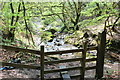 Footpath & stream, Cwm Dows