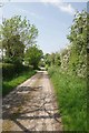 The Lane From Garlands Cottage