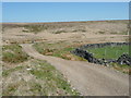 Shooting track crossing Great Dike, Wadsworth