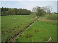 View from a Newcastle-Edinburgh train - stream near Littlehoughton