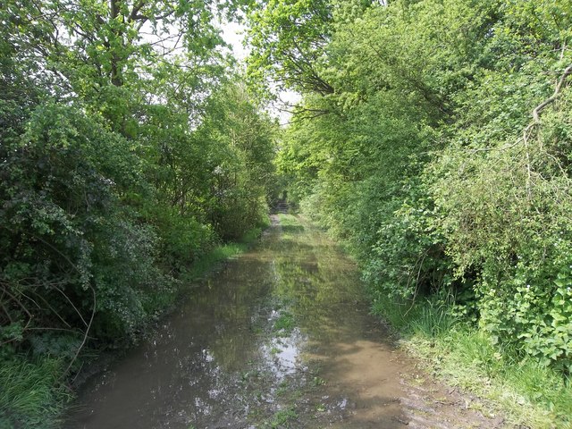Trackbed of Westerham Valley railway