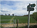 Waymarked Chiltern Way towards Lee Gate