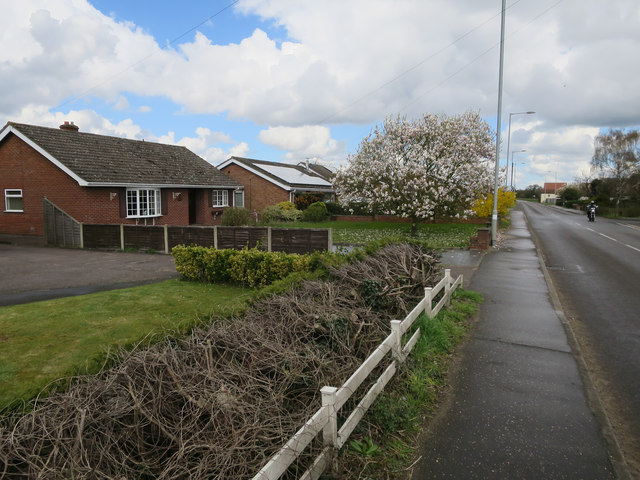 Bungalows in Shipdham \u00a9 Hugh Venables cc-by-sa\/2.0 :: Geograph Britain and Ireland