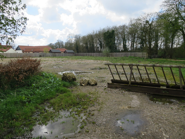 Cleared area by Home Farm