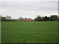 View towards South Sea Lane Farm